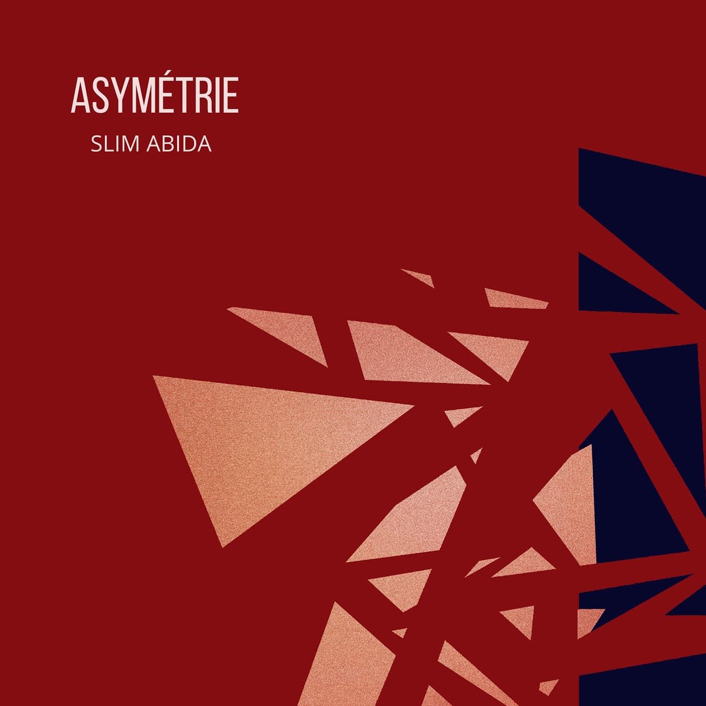 Pochette de Asymétrie — Slim Abida
