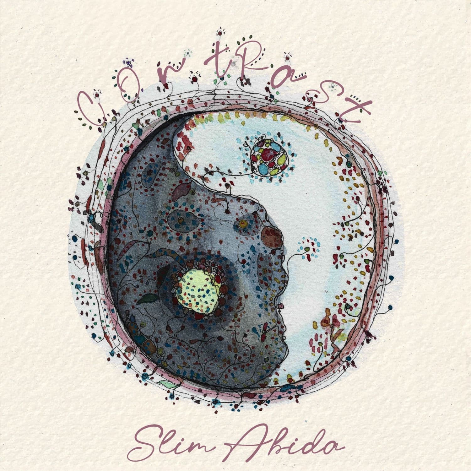 Pochette de The Beginnings — Slim Abida